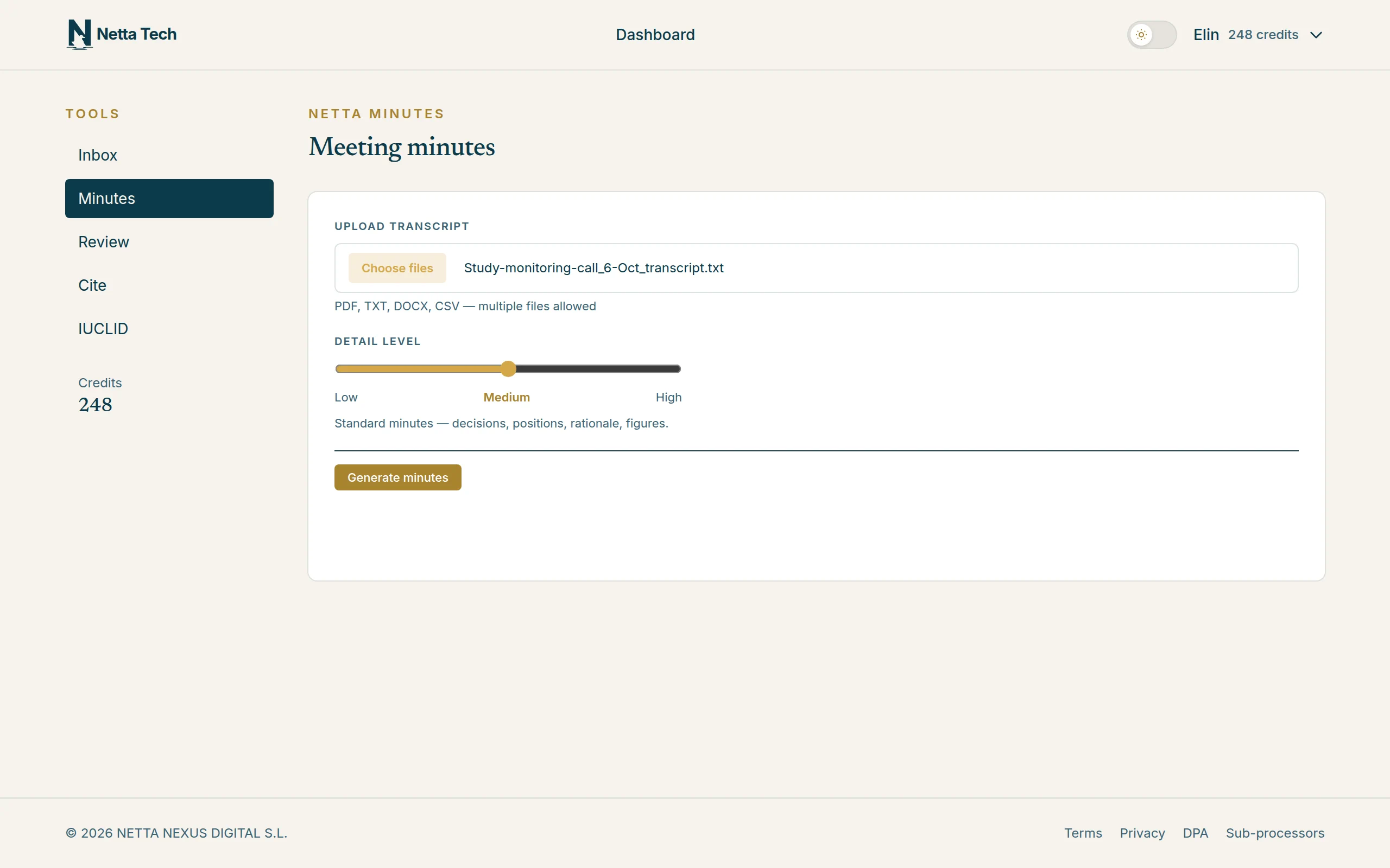 Netta Minutes: transcript file attached, level of detail, Generate minutes